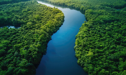 Winding river flowing through lush green forest aerial view