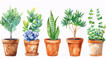 Fototapeta premium Bright and natural watercolor-style floral clipart set with pots on white background