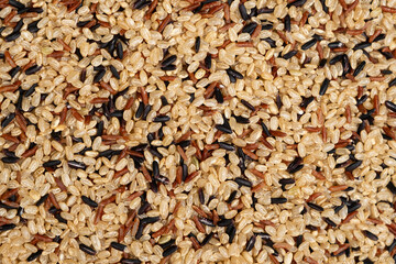 Mix of white, red and black rice, top view, close up
