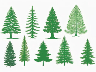 Fototapeta premium Set of pine trees. Vector illustration Isolated white background 
