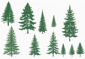 Obraz premium Set of pine trees. Illustration on a white background.