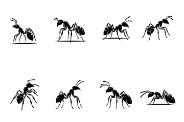 silhouettes of ant