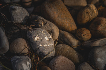 Smiling stone face on the beach.