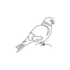 dove of peace