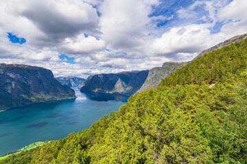 Fototapeta premium Blick vom Stegastein über den Aurlandsfjord in Norwegen