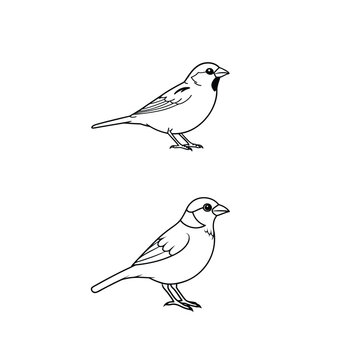 recommend clip art: Some birds silhouette vector like robin, bird, crow, peacock, duck, ostrich, parrot.