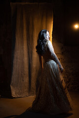 Elegant and beautiful brunette in chic evening dress or wedding dress,