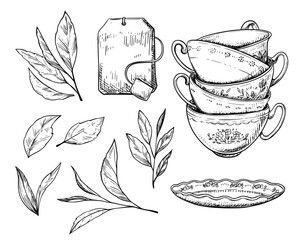 Tea cups, bag and leaves vintage vector sketch drawing	