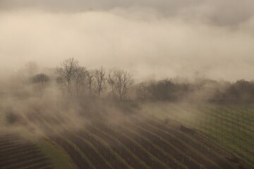 Sunrise with fog in the Czech republic