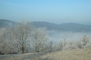 Sunrise with fog in the Czech republic