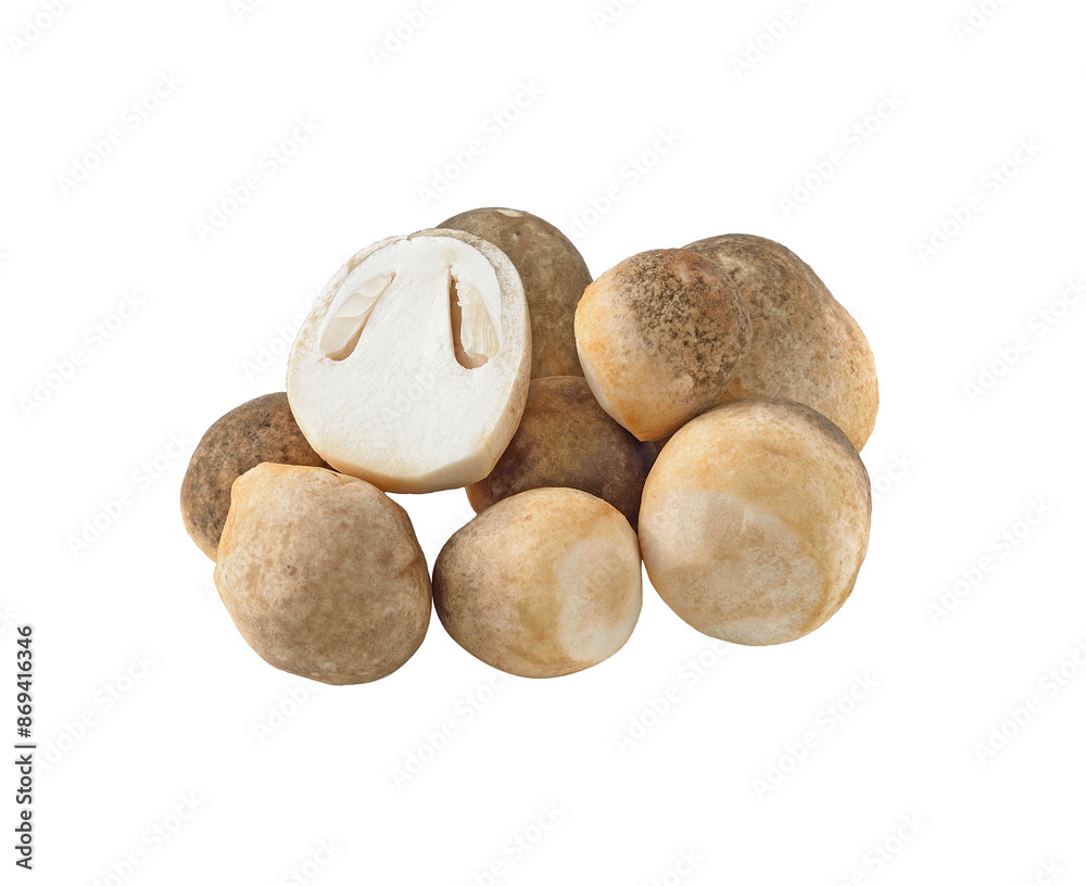 Sticker mushroom transparent png