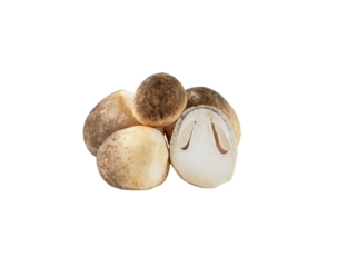 straw mushroom transparent png