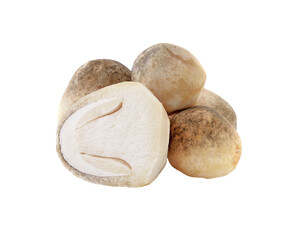 Fototapeta premium straw mushroom transparent png