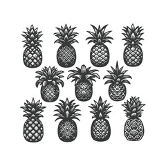  pineapple comosus fruitful isolated on white backdrop. Dark ink hand drawn picture in retro art print style. Vector pineapple fruit silhouettes isolated on white