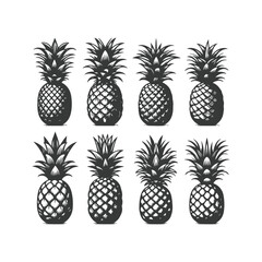  pineapple comosus fruitful isolated on white backdrop. Dark ink hand drawn picture in retro art print style. Vector pineapple fruit silhouettes isolated on white