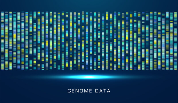DNA genomic test, genome map.