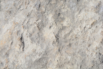 Detail of a stone surface on a sunny day