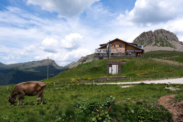 View of Passo Rollè, Trentino