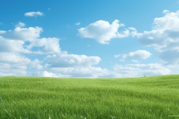 Obraz premium Grass field and sky grassland landscape outdoors.