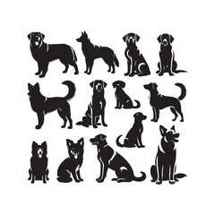 Set of vector black silhouettes of a labrador retriever dogs in different poses isolated on a white background. Lies, stands, sits, jumps, eats, barks,runs. Vector