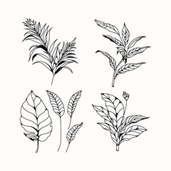 black and white leaf design on a white background