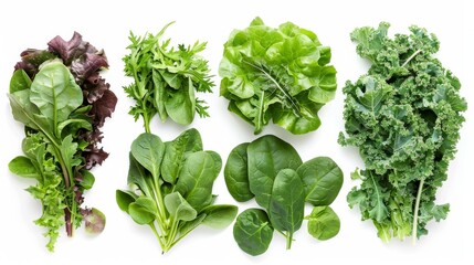 Naklejka premium Fresh Green Vegetables