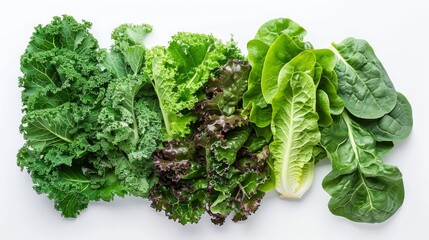 Fresh Green Vegetables