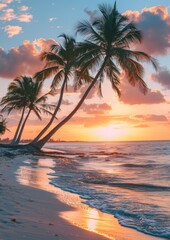 Palm trees on the beach sky sea shoreline.