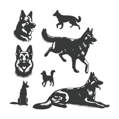 German Shepherd dog silhouette vector set - Vector drawing of a set of German shepherd dog breed silhouette