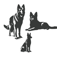German Shepherd dog silhouette vector set - Vector drawing of a set of German shepherd dog breed silhouette