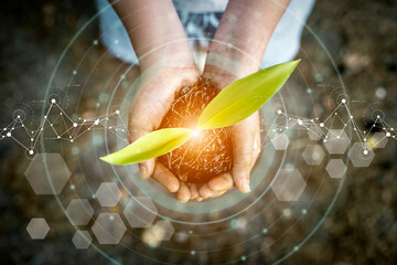 Sprout in hand. Natural technologies, sustainable development, agriculture and biotechnology...
