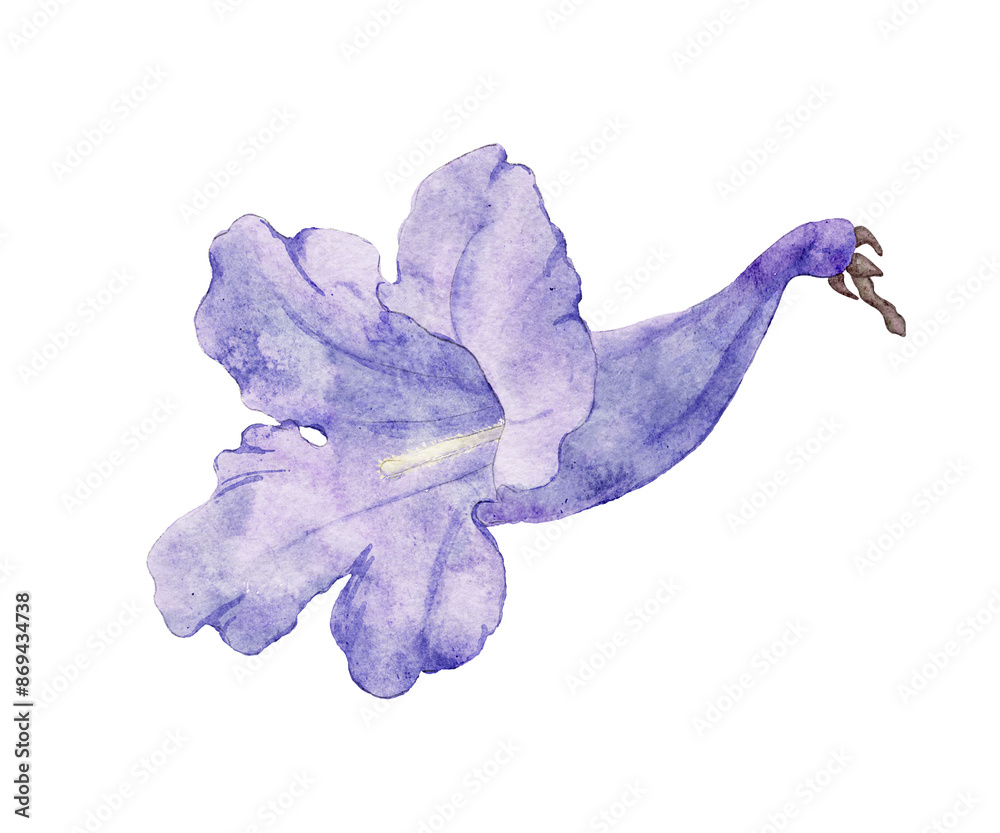 Wall mural jacaranda tree flower. hand drawn sketch. watercolor illustration. purple isolated element.