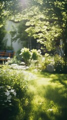 Fototapeta premium Aesthetic garden sunlight grass outdoors.
