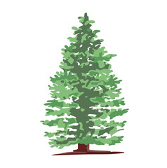 Colored simple illustration of Christmas tree, spruce.