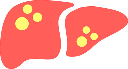 Flat Hepatitis Illustration