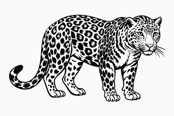 amur leopard silhouette vector.eps