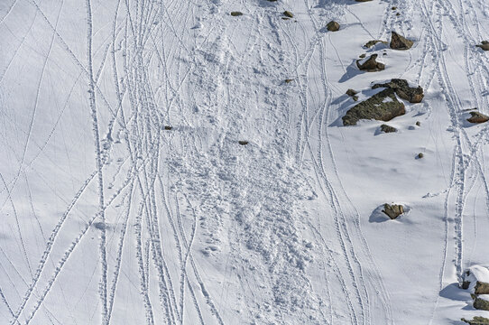 Detail of natural avalanche purges on a snowy slope near Pas de la Casa (Andorra, Pyrenees)
