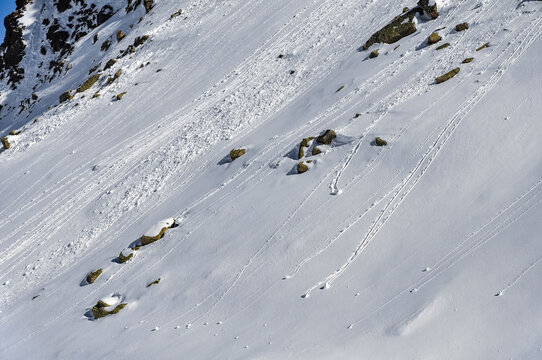 Detail of natural avalanche purges on a snowy slope near Pas de la Casa (Andorra, Pyrenees)