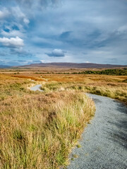 Path in Glenveagh National Park, Republic Donegal, Ireland