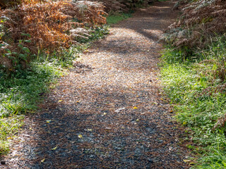 Path in Glenveagh National Park, Republic Donegal, Ireland