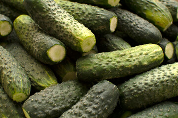 Closeup view of a pile of cucumbers	