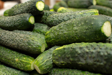Closeup view of a pile of cucumbers	