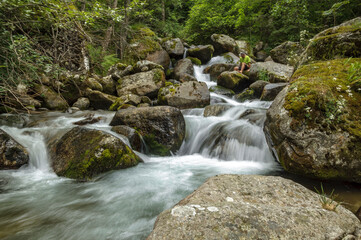 Gorges de Carançà in summer (Pyrénées Orientales, France)
