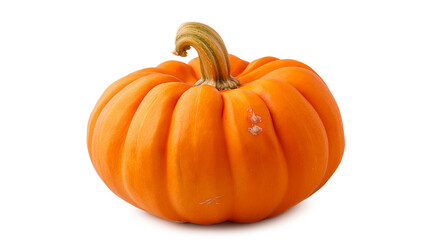 A large orange pumpkin with a stem isolated on a white background