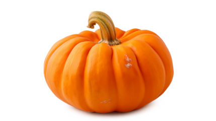 A large orange pumpkin with a stem isolated on a white background