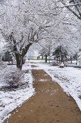 L'Alzineta park snowed in winter, in Nav&agrave;s (Bages, Barcelona, Catalonia, Spain)