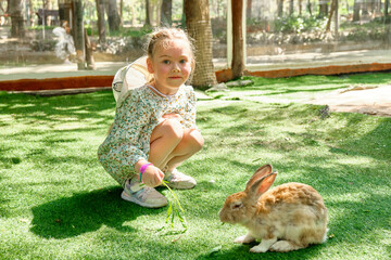 A little girl feeds a rabbit at the zoo Phnom Penh Safari, Cambodia