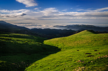 Alpine meadows near Coll de la Creueta mountain pass (Berguedà, Catalonia, Spain, Pyrenees)