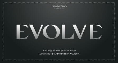 Vector elegant wedding alphabet letter font typography luxury classic serif fonts decorative vintag
