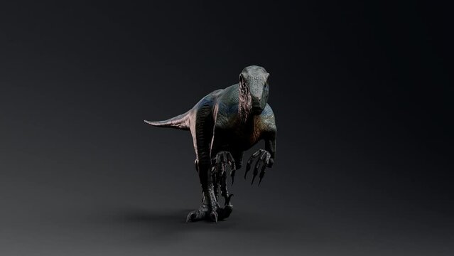 Hybrid Velociraptor Walking Roar to Call Animation, 3d render video